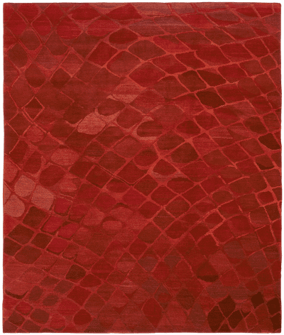 Picture of a Snake rug